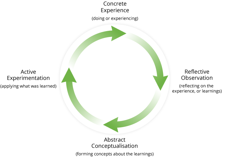 The Experiential Learning Cycle
